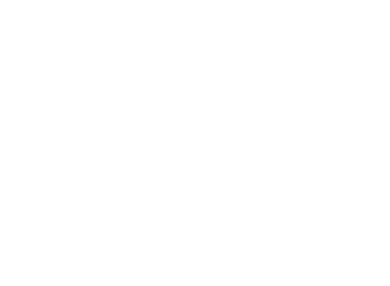 The Beautiful Lie