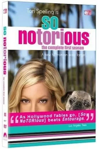 So NoTORIous TV series poster - Rated 7.3/10