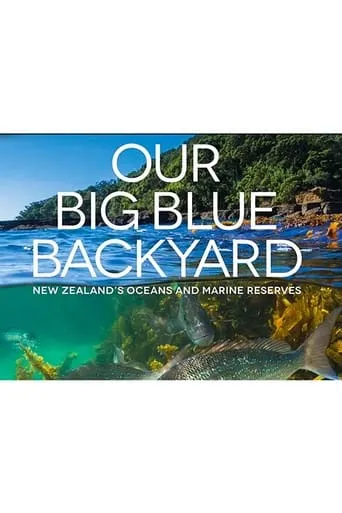 Our Big Blue Backyard TV series poster - Rated 7/10