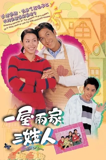 A Handful of Love TV series poster - Rated 6/10