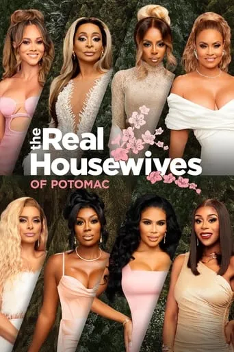 The Real Housewives of Potomac TV series poster - Rated 5.8/10