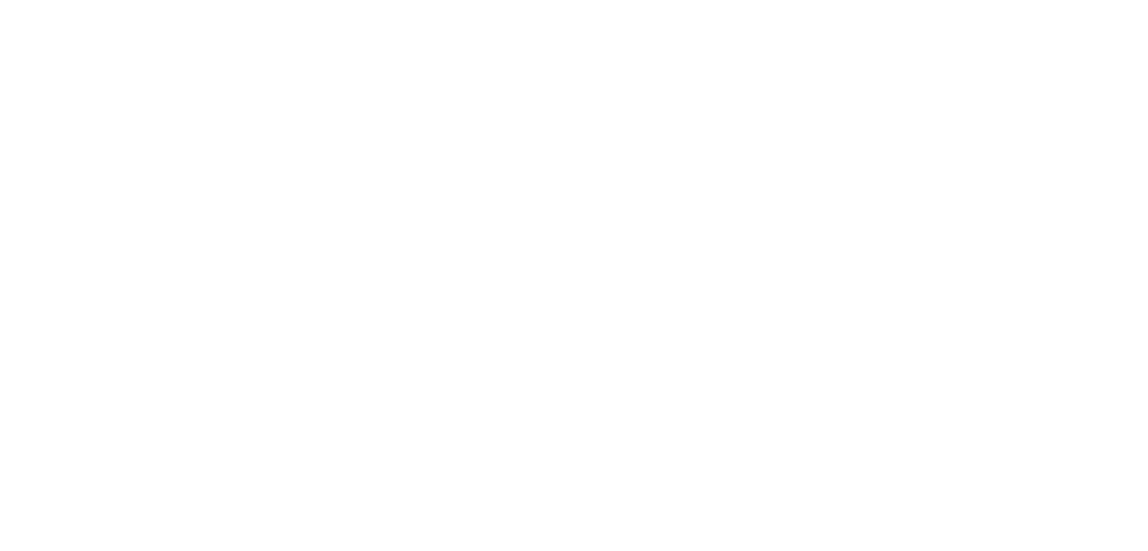 The Circus