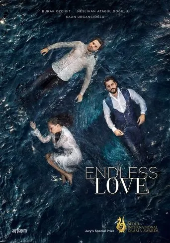 Endless Love TV series poster - Rated 7.801/10