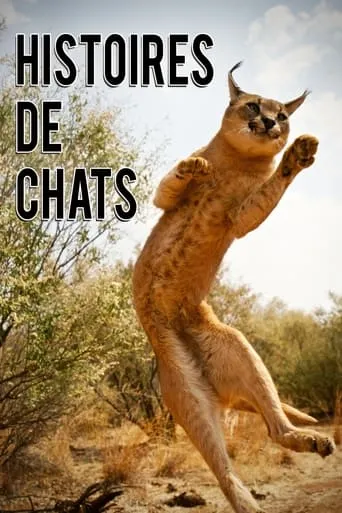 The Story of Cats TV series poster - Rated 8.2/10