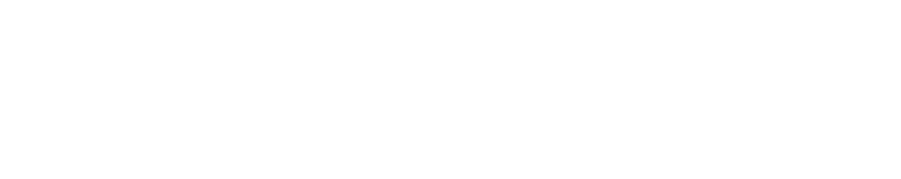 The Secret