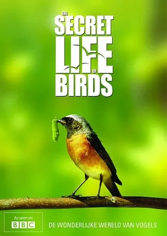 Iolo's Secret Life of Birds TV series poster - Rated 7.2/10