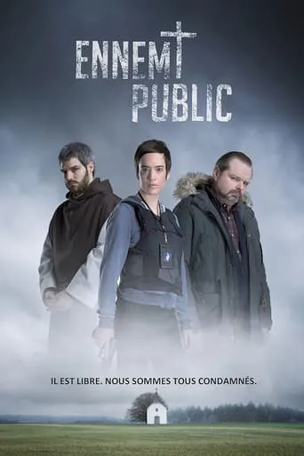Public Enemy TV series poster - Rated 6.9/10