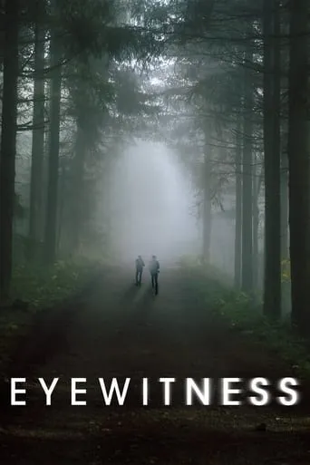 Eyewitness TV series poster - Rated 7.3/10