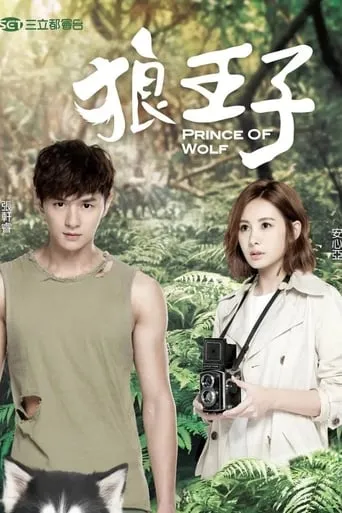 Prince of Wolf TV series poster - Rated 6.8/10