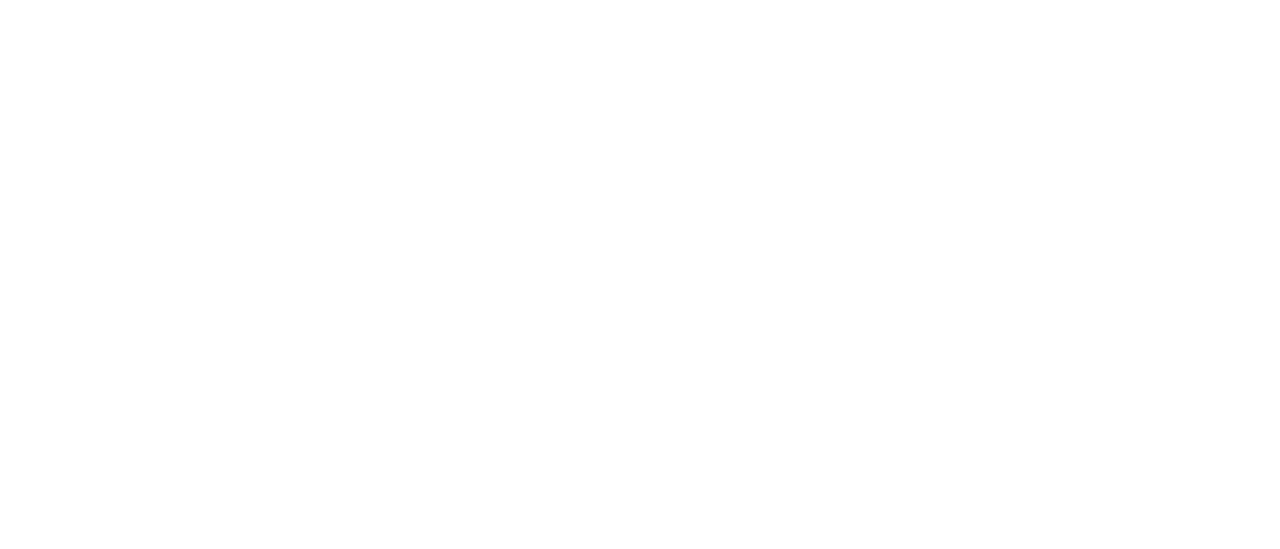 Masters of Flip