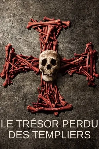 Pirate Treasure of the Knights Templar TV series poster - Rated 7.9/10