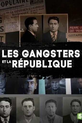 Les gangsters et la république TV series poster - Rated 8.5/10