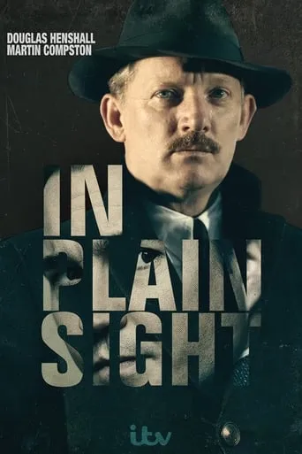 In Plain Sight TV series poster - Rated 6.862/10