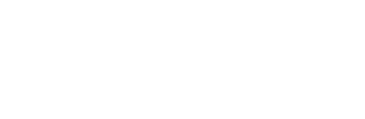 Gilmore Girls: A Year in the Life