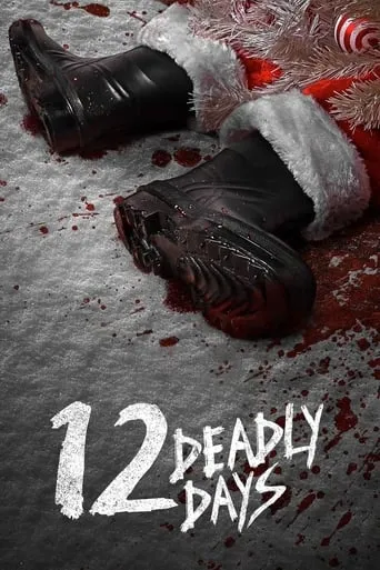 12 Deadly Days TV series poster - Rated 6.438/10