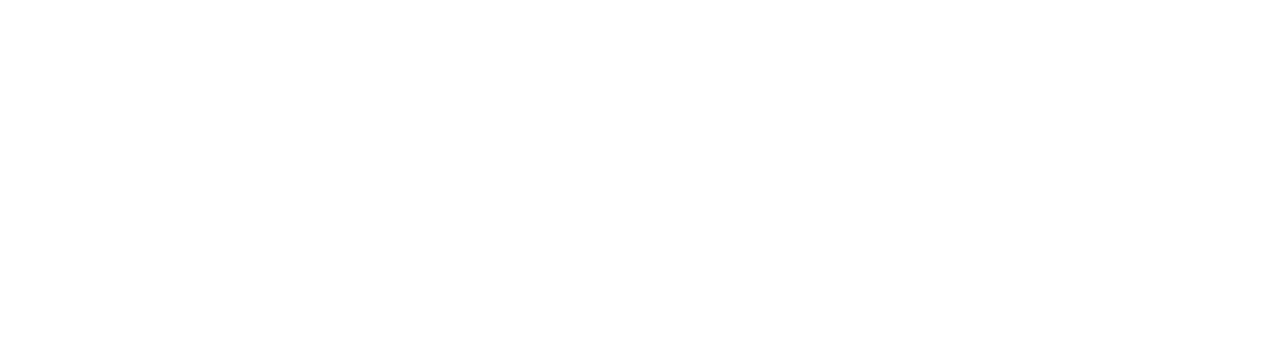 Case