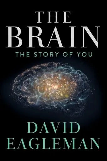 The Brain with David Eagleman TV series poster - Rated 8/10