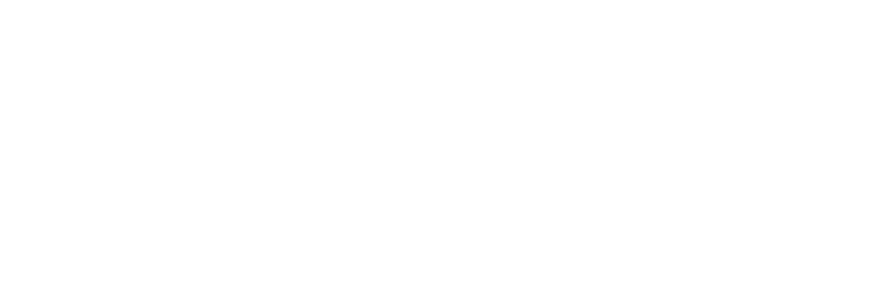 Good Bones