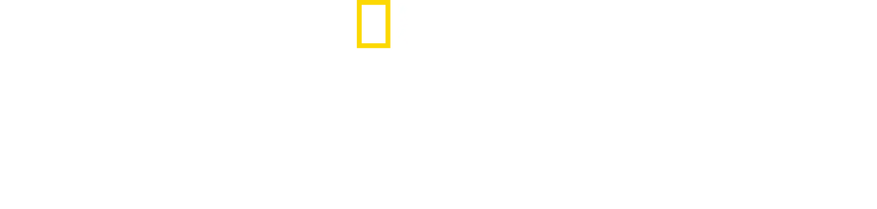 The Long Road Home