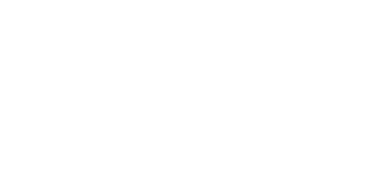 The Romanoffs