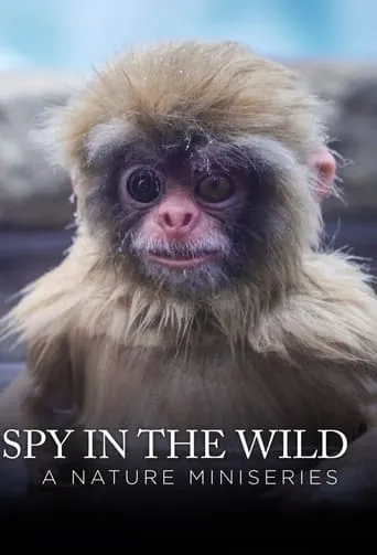 Spy in the Wild TV series poster - Rated 7.2/10