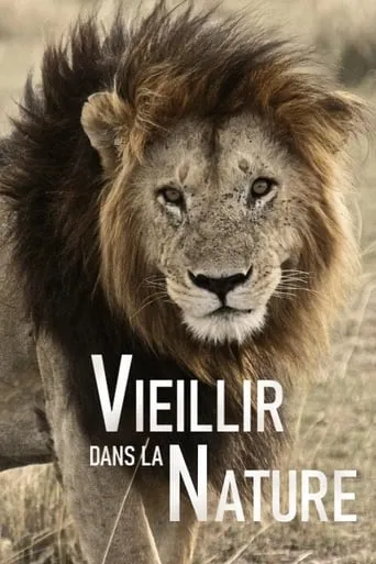 Aging in the Wild TV series poster - Rated 7.2/10