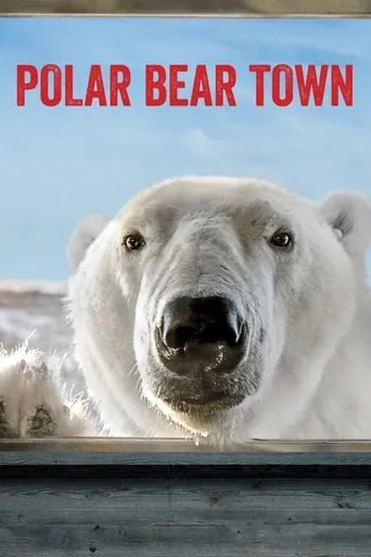Polar Bear Town TV series poster - Rated 8/10