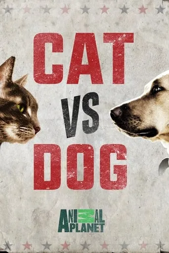 Cat vs. Dog TV series poster - Rated 10/10