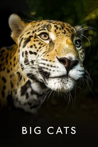 Big Cats TV series poster - Rated 8.1/10