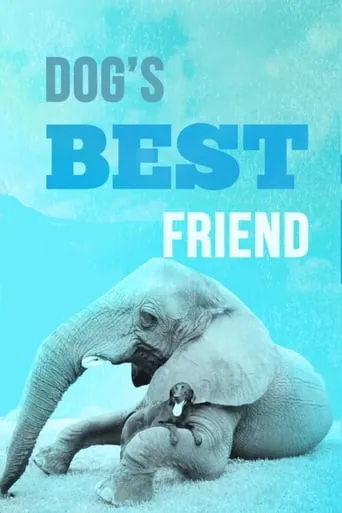 Dog's Best Friend TV series poster - Rated 4.5/10