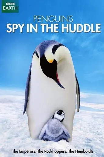 Penguins: Spy in the Huddle TV series poster - Rated 8.9/10