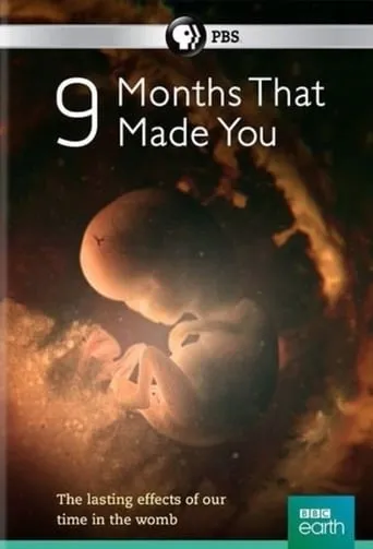9 Months That Made You TV series poster - Rated 7/10
