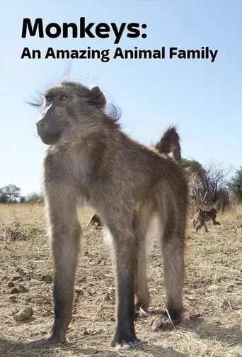Monkeys: An Amazing Animal Family TV series poster - Rated 8/10