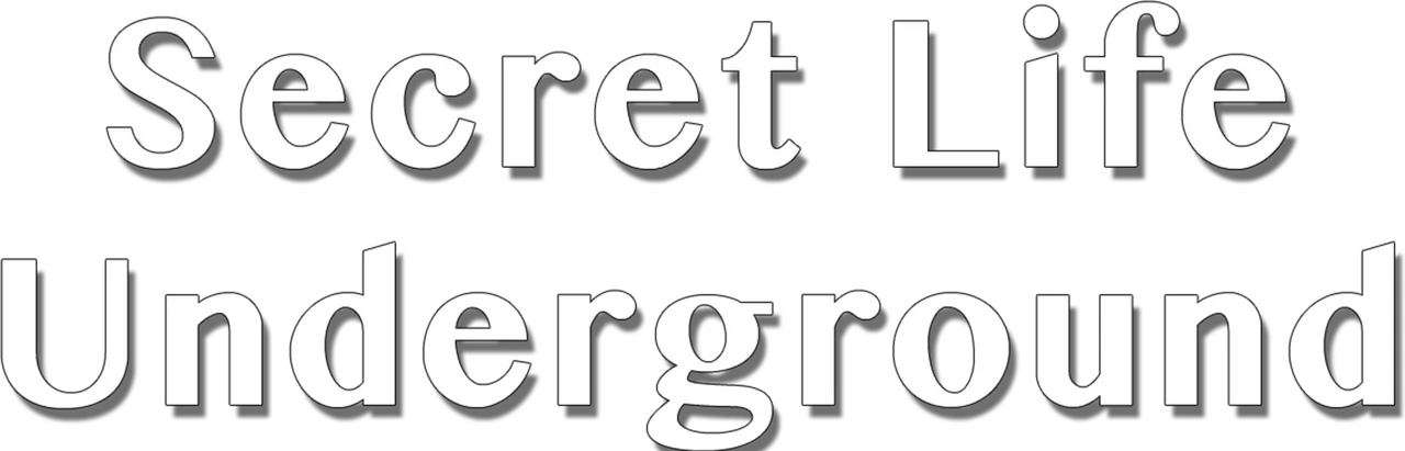 Secret Life Underground