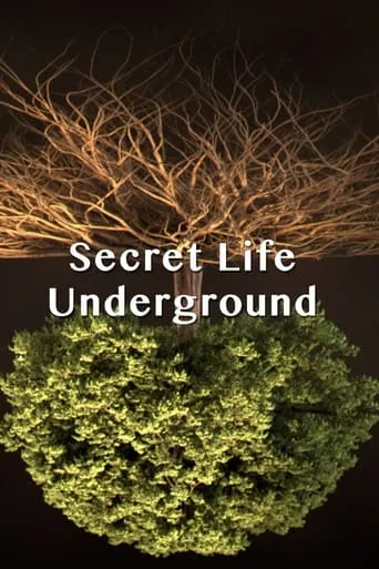 Secret Life Underground TV series poster - Rated 10/10
