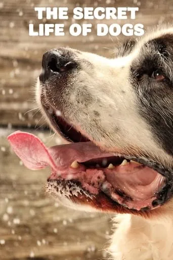 The Secret Life of Dogs TV series poster - Entertainment content