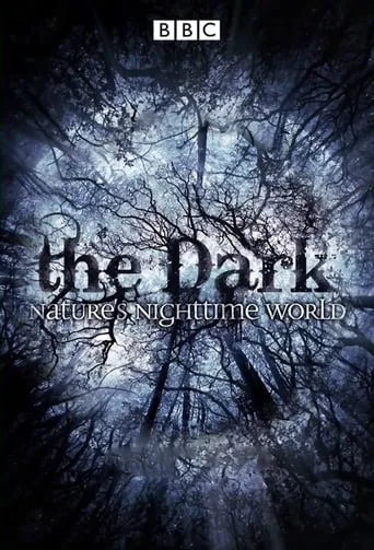 The Dark: Nature's Nighttime World TV series poster - Rated 8/10