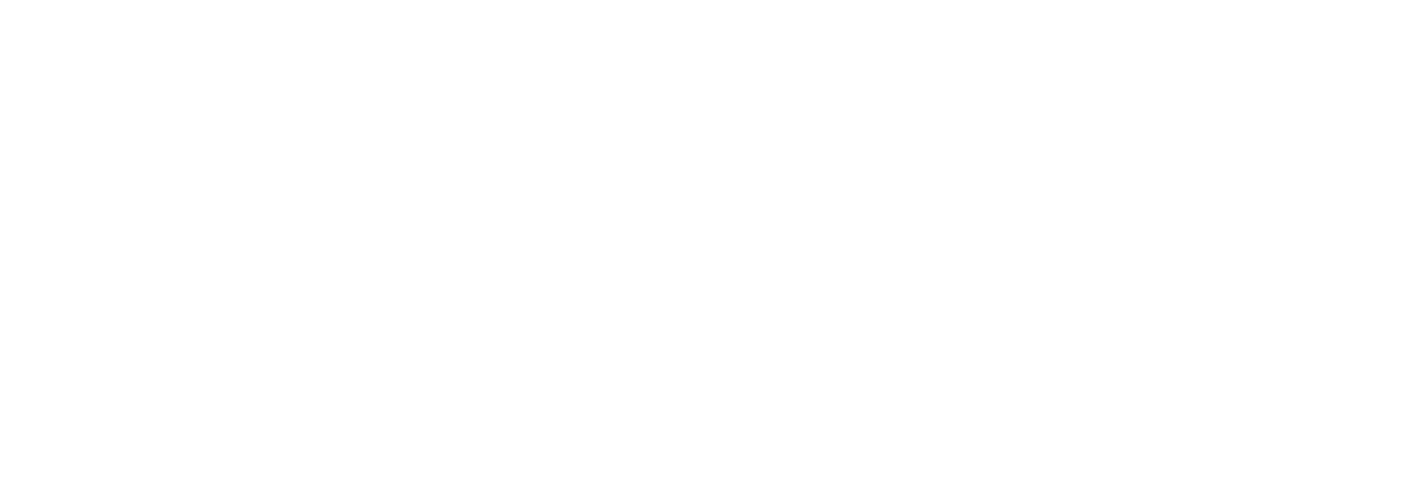 Love at First Flight