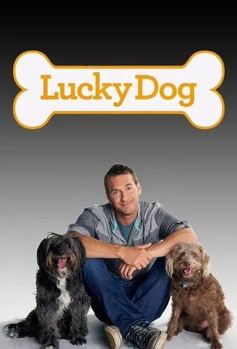Lucky Dog TV series poster - Rated 8.5/10