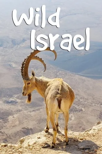 Wild Israel TV series poster - Rated 8.5/10