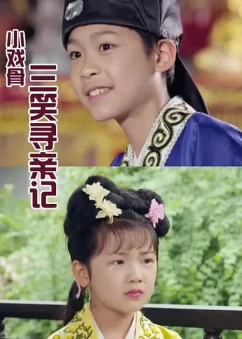 小戏骨：三笑寻亲记 TV series poster - Rated 9/10