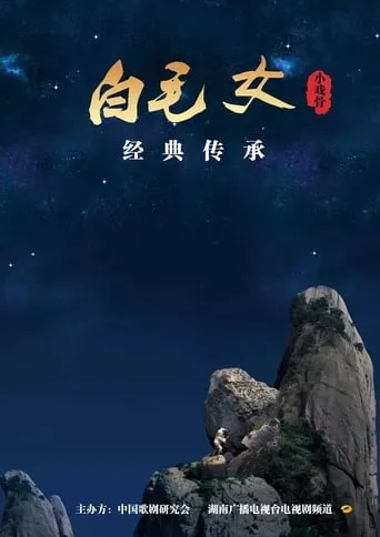 小戏骨：白毛女 TV series poster - Rated 9/10