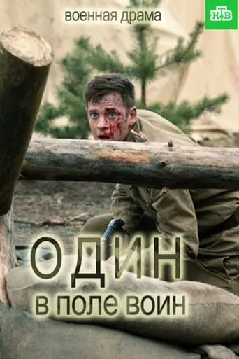 Один в поле воин TV series poster - Rated 10/10