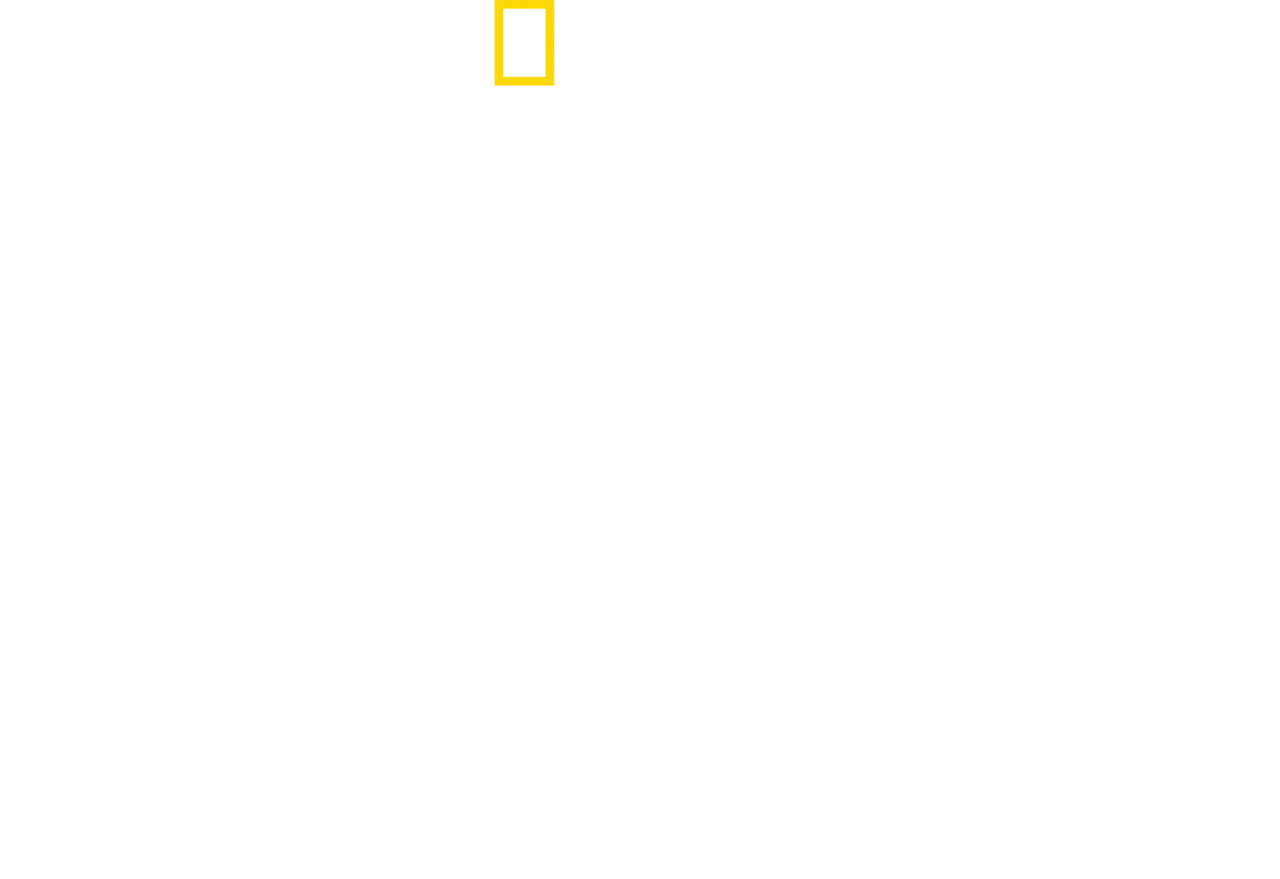 Valley of the Boom