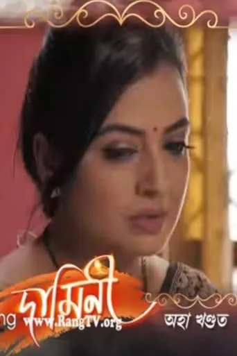 Damini TV series poster - Rated 8/10
