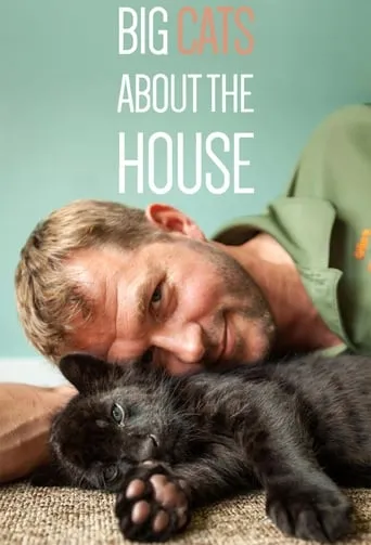 Big Cats About The House TV series poster - Entertainment content