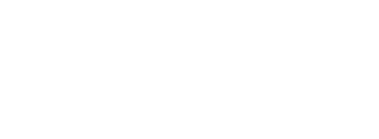 The Gifted