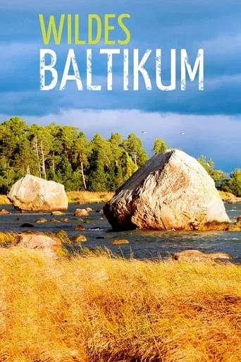 Wildes Baltikum TV series poster - Rated 8/10