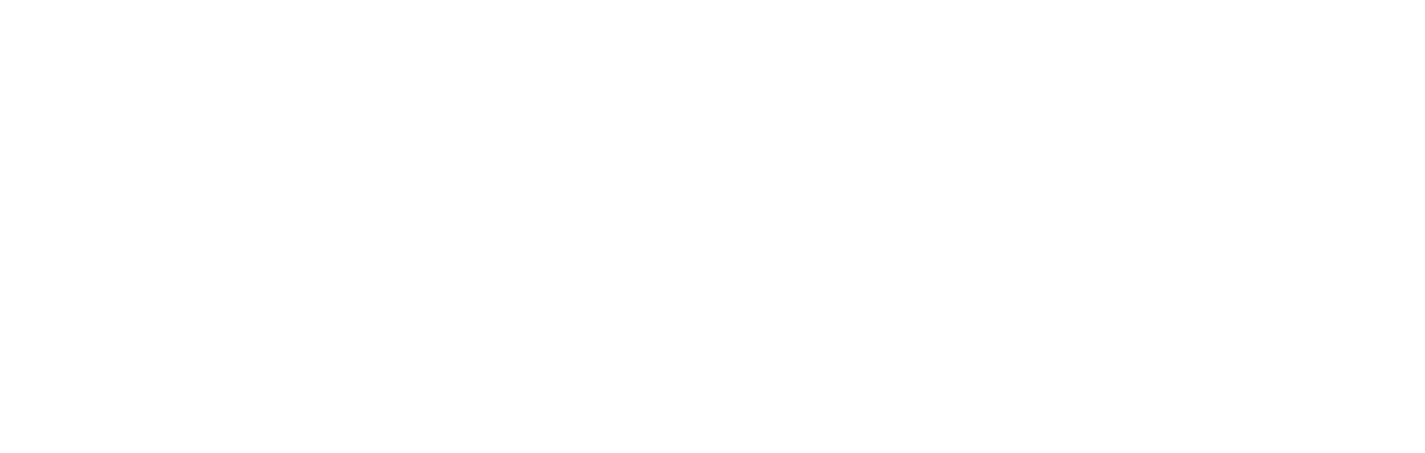 The Lake Erie Murders