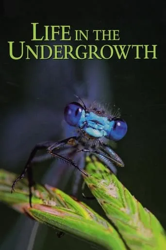 Life in the Undergrowth TV series poster - Rated 8.3/10